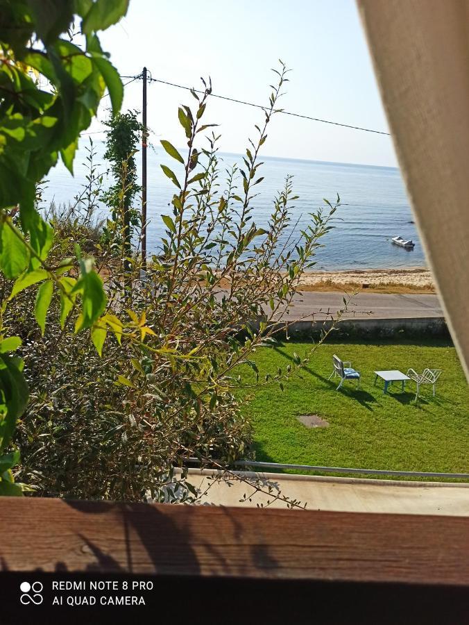 Villa Alexander Xanthi Bagian luar foto